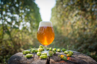 US craft breweries step up sustainability and the critical role of retailers in spreading the message